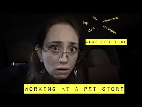 working at a PET STORE (my experience) STORYTIME VIDEO