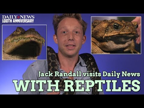 Jack Randall of National Geographic's 'Out There with Jack Randall' visits Daily News