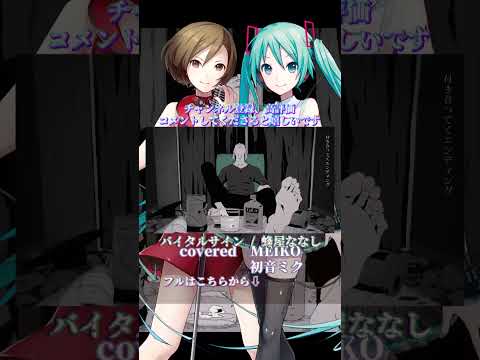 〖 蜂屋ななし  〗バイタルサイン┊MEIKO✕初音ミク〖 cover 〗〖VOCALOID Cover〗