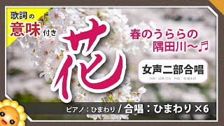 花【合唱】滝廉太郎  byひまわり🌻×6　歌詞の意味付き【日本の歌百選】2024