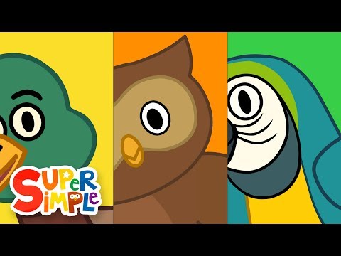 Turn & Learn ABCs - BIRDS! | ​​🌈 Super Simple ABCs