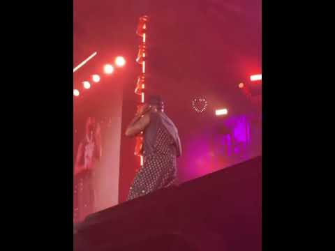 Chris Brown & Davido live performance in South Africa #chrisbrown #davido #youtube