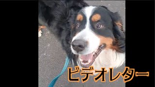 卒業生ノアールからビデオレター