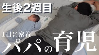 【生後2週目の新生児】育児と家事で終わる1日 / 育休取得中のママとパパ / 帝王切開での出産 【男性の育児休暇の記録】