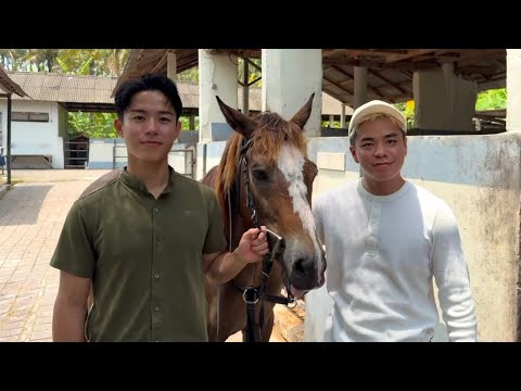 Horseback Riding in Bali