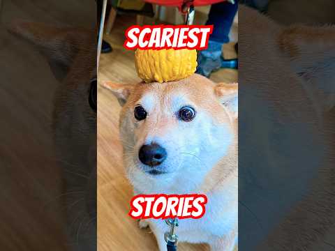 Try Not To Get Scared: Scariest Stories 2 #cutenessoverload