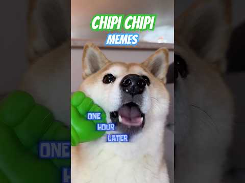 Dubidubi random memes BORKUP