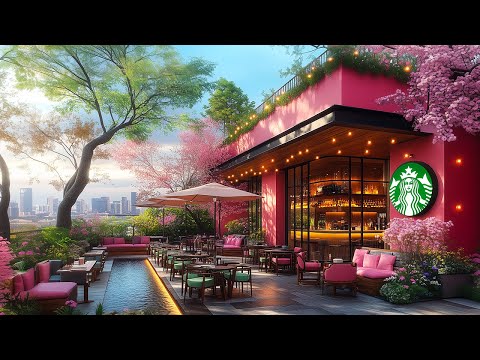 🌸Romantic Jazz at Beautiful Starbucks Rooftop ! この美しいスタバのルーフトップで、バレンタインデーにロマンチックなコーヒー、ジャズを分かち合いませんか？