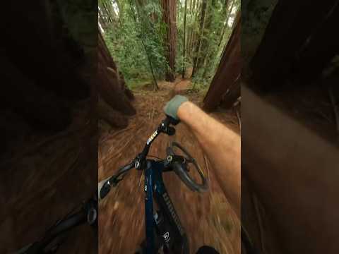 Mountain Biking down one of the worst kept secret trail... #gopro #pov #mtb