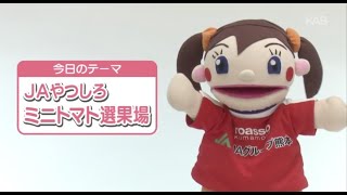 DO YOU のうぎょう？「JAやつしろ・ミニトマト選果場」（2021年12月23日 O.A.）