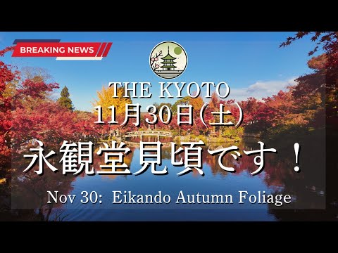 Nov 30 at Eikando Temple's autumn leaves! Finally reaching their peak!