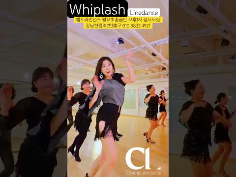 #라인댄스 #whiplash #linedance #월요초중급오후1시 #강남라인댄스 #라인댄스배우는곳 #선릉역7번출구 010 8833 4921