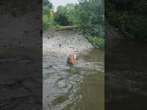 saving up the rocks