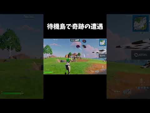 待機島で奇跡の遭遇【フォートナイト/FORTNITE】