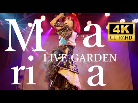 Maria 「戦国！こころ華」／ 金山ライブガーデン LIVE GARDEN　2025年2月22日