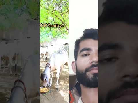 Radhe radhe Jay Gau Mata #shortvideo #viral #bhakti