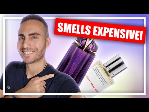 5 Affordable Fragrances That Smell SUPER EXPENSIVE!