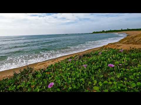 Ocean Waves to Sleep, Study, Meditate & Relax