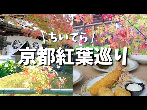 Autumn Leaves in Kyoto/Nanzenji Temple/Hasegawa Western Restaurant/Kyoto Sightseeing & Gourmet