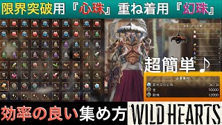 【ワイルドハーツ】限界突破も簡単！『心珠』＆『幻珠』の効率の良い集め方【WILD HEARTS】