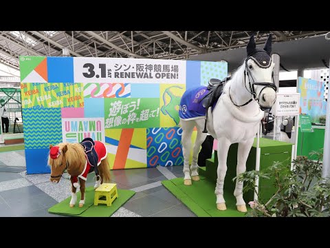 JR大阪駅でJRA阪神競馬場リニューアル記念イベント「ナルホド！PARK」　馬ロボ騎乗体験も