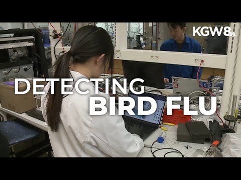 New bio-sensor can detect airborne bird flu in under 5 minutes