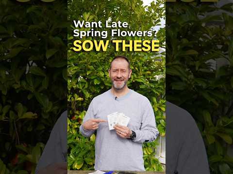 6 Seeds You Can Sow In March For Late Spring Flowers! #shorts #springflowers #seeds