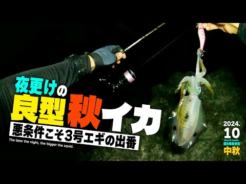 福井県南越前で夜更けの良型秋イカを釣る！／秋のハイシーズン新仔アオリイカエギング／悪条件こそ3号エギの出番ですよ