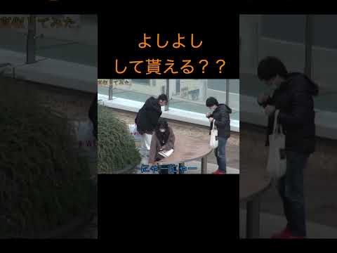 猫になったら女に可愛がって貰える？　#shorts