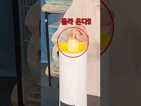 한국 사람이 소세지를 맛있게 먹는 방법