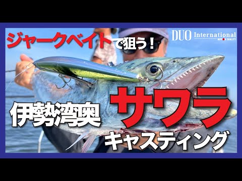 ジャークベイトで伊勢湾サワラキャスティング