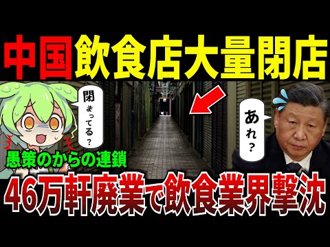 中国国民のリアルな暮らし！飲食店が3ヶ月で46万軒も閉店！若者たちには「貧乏人メニュー」が流行！【ずんだもん＆ゆっくり解説】