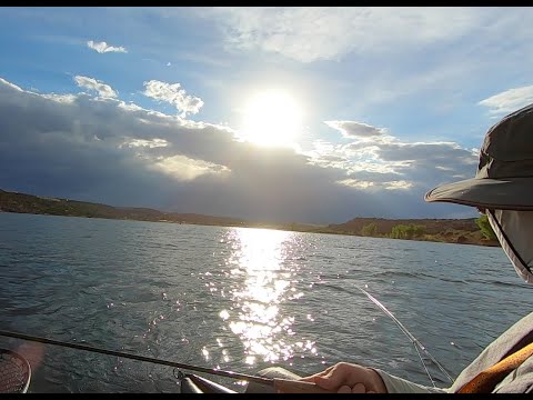 Huge Trout-Brian Kretschmar Still Water Fly Fishing-Final Day-Spring 2020