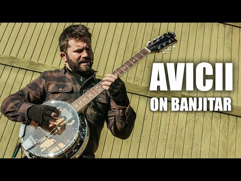 AVICII on Banjitar (Wake Me Up) - Luca Stricagnoli