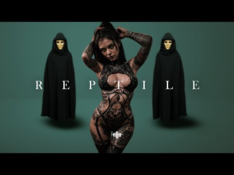 2 HOURS Dark Techno / EBM / Industrial Bass Mix 'REPTILE' [Copyright Free]