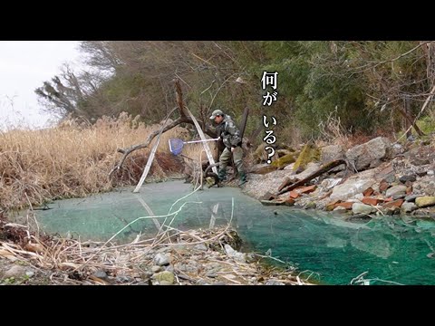 大きな川の岸辺に取り残された『水溜り』