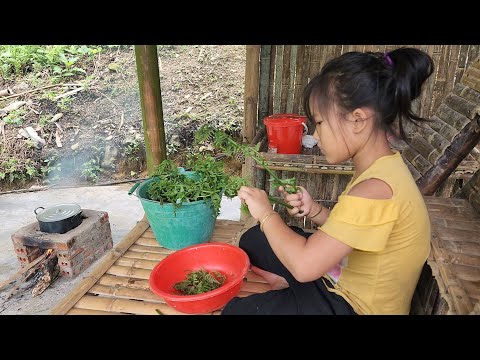 Poor girl, growing eggplant and cooking, Uncle Quoc helped build the wall of the first floor