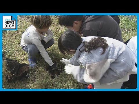 小学生が地元特産“甘夏ミカン”植樹を体験「大きくなりますように」4年後には立派な実をつける見込み　三重・尾鷲市