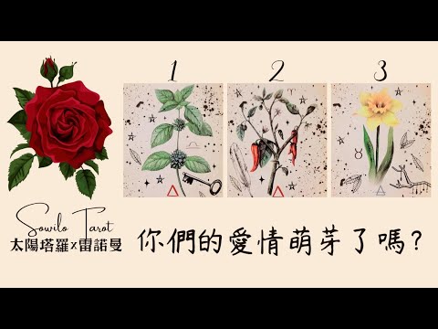 【新戀情】你們的愛情萌芽了嗎？他對你有愛情的喜歡嗎？ | Sowilo 週五占卜直播