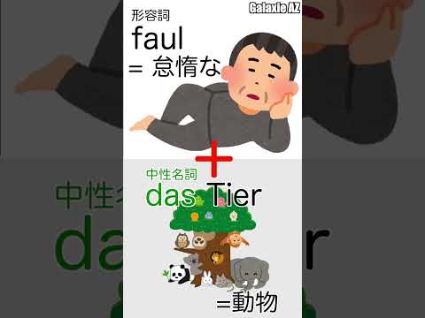 ドイツ語×日本語の面白い関連性！怠け者の動物って何？ #shorts