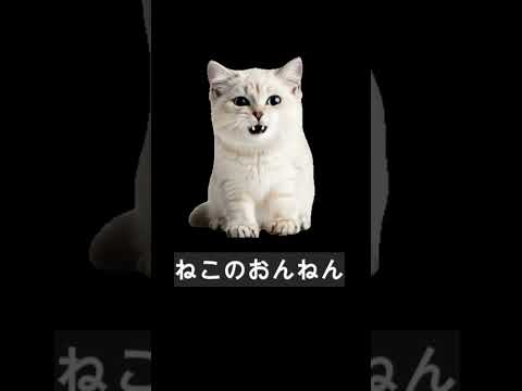 Here is a cat 250307 #ai #cat #aicat #ai猫 #catvideos #catlover