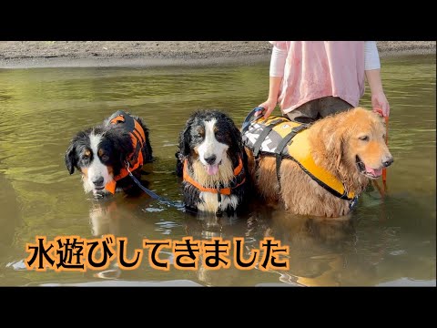 久しぶりのお出かけは水遊び！