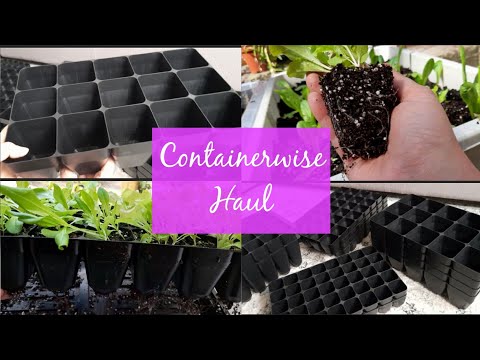 Containerwise haul & review ~ Gardening equipment ~ Buying Seed Propagation / Module Trays