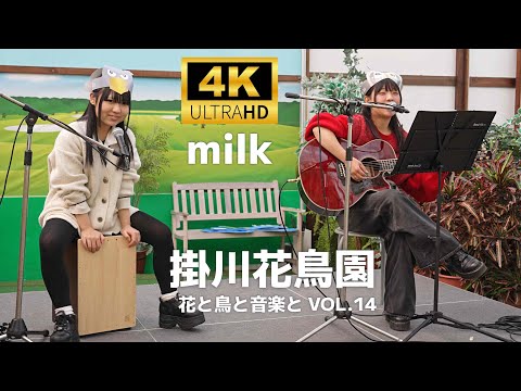 milk ／ 掛川花鳥園「花と鳥と音楽と VOL.14」2024年12月22日