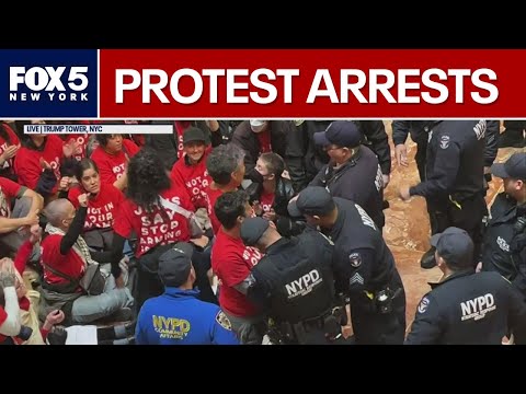 Trump Tower protesters arrested by NYPD