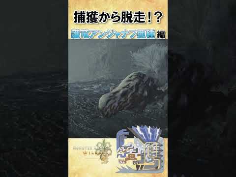 【6000再生突破】捕獲して眺めてたら逃走した護竜ジャナフ亜種 #wilds   #ワイルズ #護竜アンジャナフ亜種 #shorts