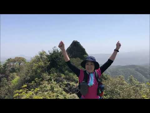 鳥兜岩と天国のようなシャクナゲとエビネ蘭の花園　虚空蔵山登山岩屋口