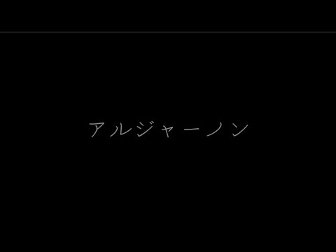 アルジャーノン　ヨルシカ（歌詞付き）