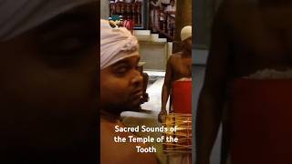 Sacred Sounds of the Temple of the Tooth