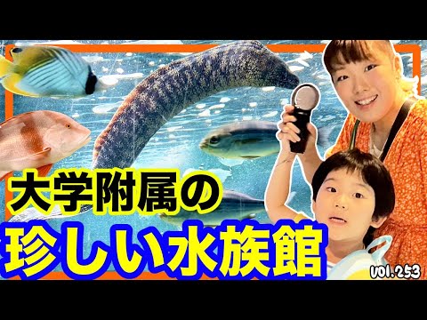 白浜水族館🐟白浜にこんな所あったの知ってた！？【ママさん似顔絵師Bon vol.253】